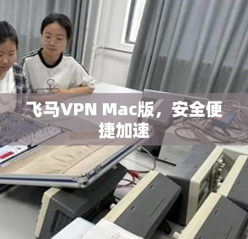 飞马VPN Mac版，安全便捷加速