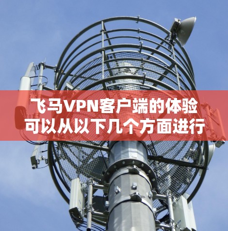 飞马VPN客户端的体验可以从以下几个方面进行分析