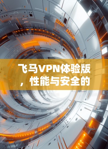 飞马VPN体验版，性能与安全的全面测试